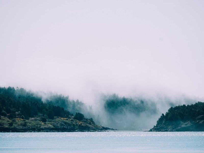 sudoku scanning technique screenshot 5